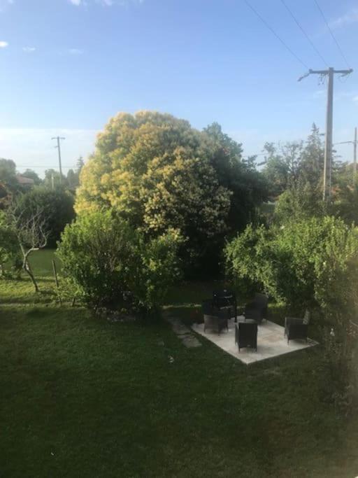 House With Large Private Garden In Villereal